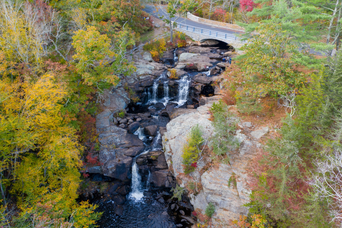 Escape to Nature's Embrace: Exploring the Eightmile River Wildlife Management Area